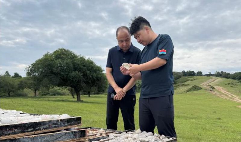  抓实勘查治理 提升资源质效——刘伟书记带队深刻野表一线发展专项督导综合查抄